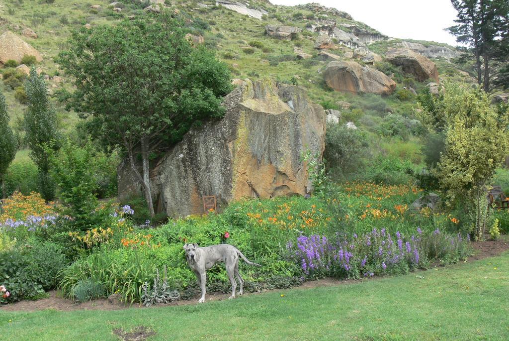 Aspen Guest House Clarens Luaran gambar